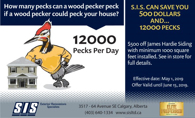 Protect Your Home With Woodpecker-Proof Siding