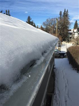 Ice Damming Calgary